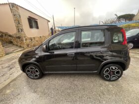 
									FIAT PANDA CC 1.0 FIREFY HYBRID full								